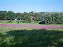 ein Traum in Violett